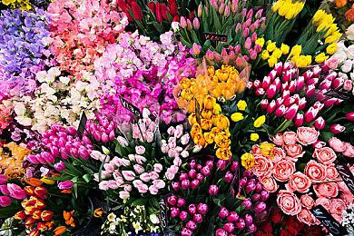 战略城市建造游戏《黄金国：黄金城建设者》发售日公布 6月17日发售